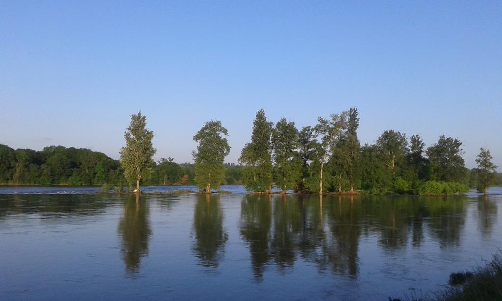 مبيت وإفطار Ousson-sur-Loire La Chaumiere المظهر الخارجي الصورة