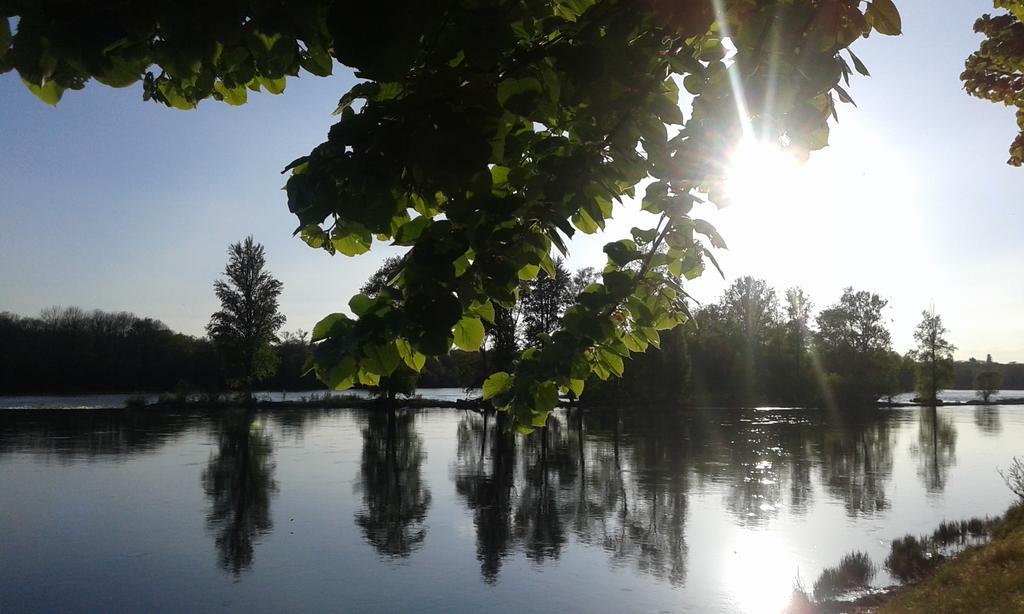 مبيت وإفطار Ousson-sur-Loire La Chaumiere المظهر الخارجي الصورة